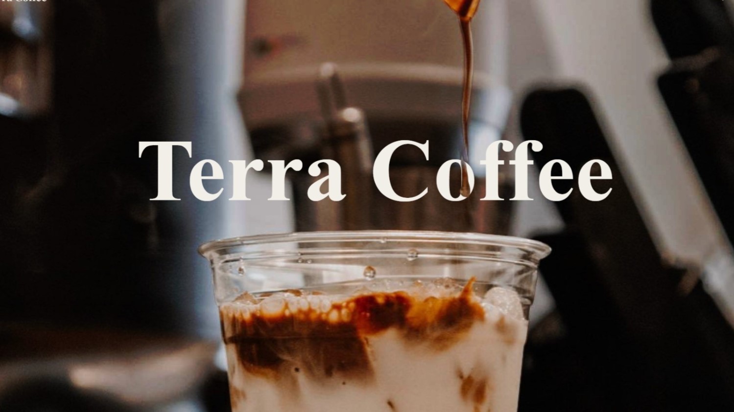 Terra Coffee Website Preview